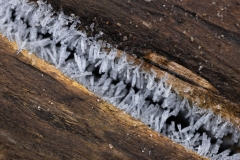 Ice Crystals