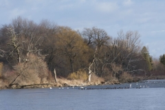 Winter Mclaughlin Bay