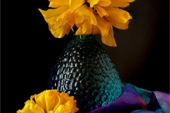 A Splash of Spring Colour