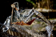 Iced Perfection