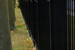 Iron Fence