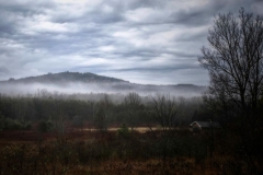 Early Morning