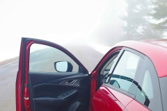 Fog Ahead