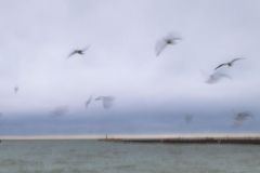 Windy Winter Day at the Harbour