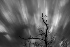 Eerie Nights
