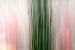 Moving Grasses