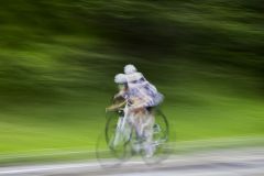 Wheels in Motion