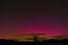 Summer Aurora