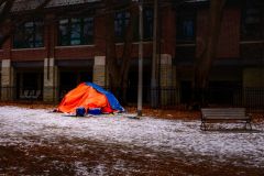 Housing Crisis