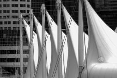 Five Mizzen Masts