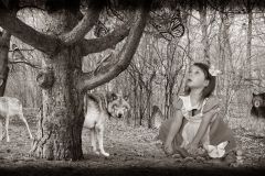 Alice and Friends in the Woods