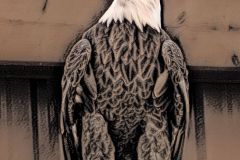 The Eagle Has Landed