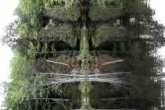 Clarity Or Suspended Reality