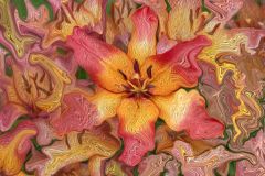 Joyful Lillies