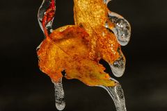 Frozen
