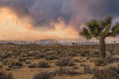 Turbulence Over the Sierra Nevada Mountains