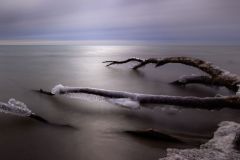 Lynde Shores 2