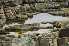 Sandstone Tidepool