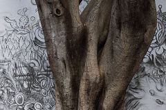 Longevity and Art