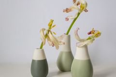 The Past Their Prime Tulip Trio