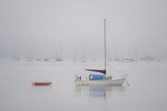 Foggy Morning at Goose Spit