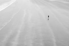 Alone