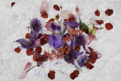 Abstract Flowers in Oil