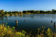 Harbour Basin