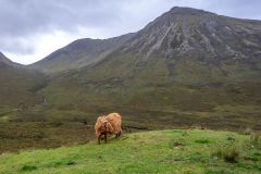 The Scottish Highlands
