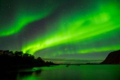 Lofoten Aurora