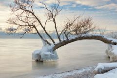 Winter Shore