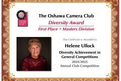 ACCWinnerCert-2025-Diversity-First