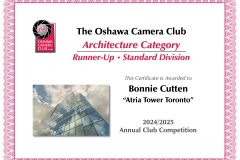 ACCWinnerCert-2025_Page_04