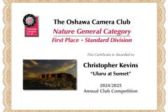 ACCWinnerCert-2025_Page_11