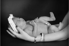 New Life
