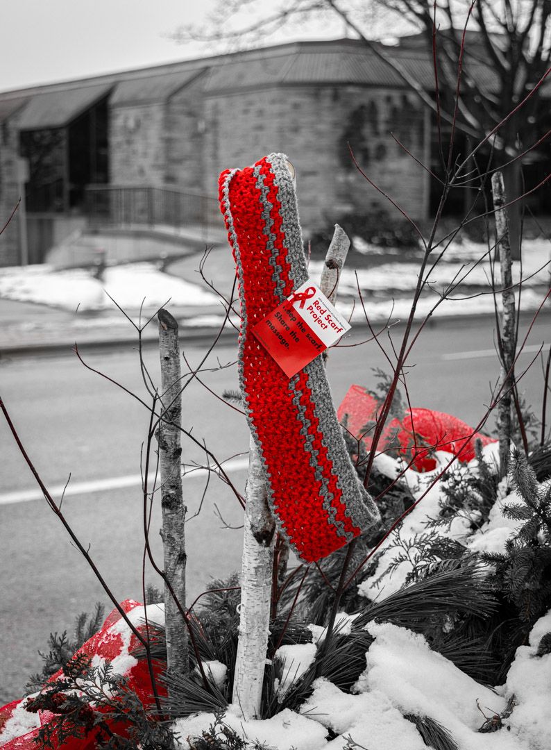 Red Scarf Project for World HIV-AIDS Awareness Day