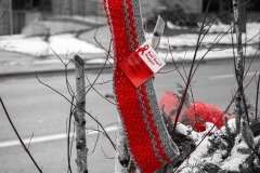 Red Scarf Project for World HIV-AIDS Awareness Day