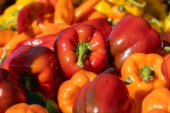 Fresh Peppers - Oshawa Centre Farmers' Market