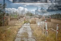 The Road Once Taken