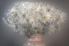 Lazy Daisies
