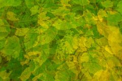 Interleaved