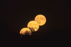 Rising Supermoon
