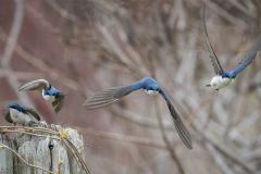 Take Off