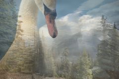 Guardian Of the Valley