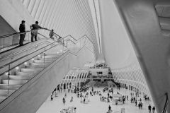 Oculus Centre