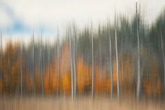 Autumnal Dreamscape