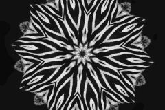 Wild Geometry