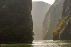 Shennong Stream