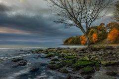 Between Seasons