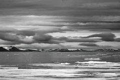 Arctic Coastline